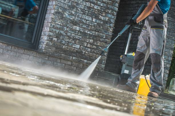 Best Building Exterior Washing  in Hamburg, IA