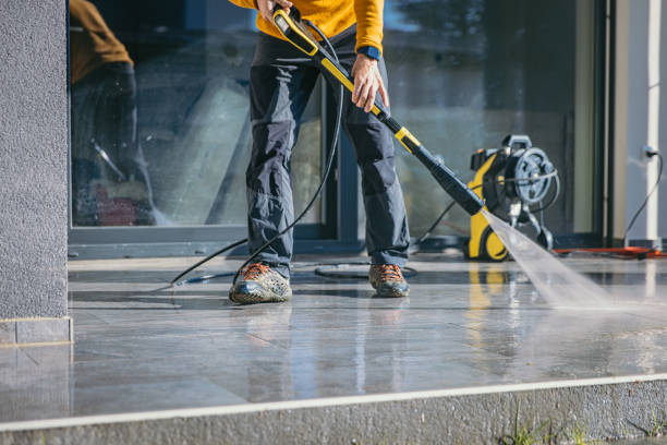 Best Driveway Pressure Washing  in Hamburg, IA