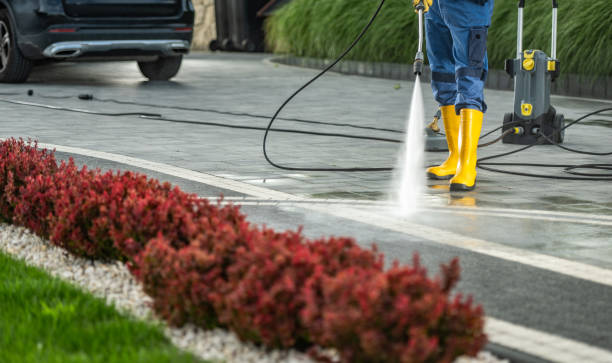 Best Solar Panel Cleaning  in Hamburg, IA